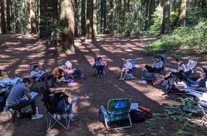 学生们在树林里围成一圈坐在椅子上.